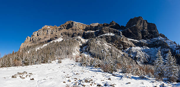 istock Beautiful winter landscape with snow-covered trees and fields under a bright blue sky. Serene nature scene with crisp white snow, perfect for holiday, nature, or seasonal themes. 2244232632