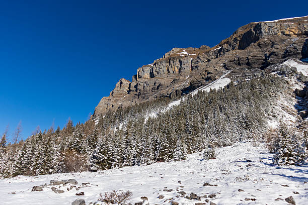 istock Beautiful winter landscape with snow-covered trees and fields under a bright blue sky. Serene nature scene with crisp white snow, perfect for holiday, nature, or seasonal themes. 2244232744