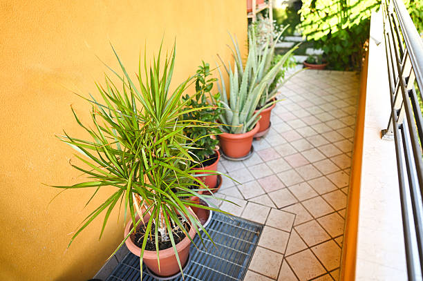Green potted plants creating inviting atmosphere on residential balcony
