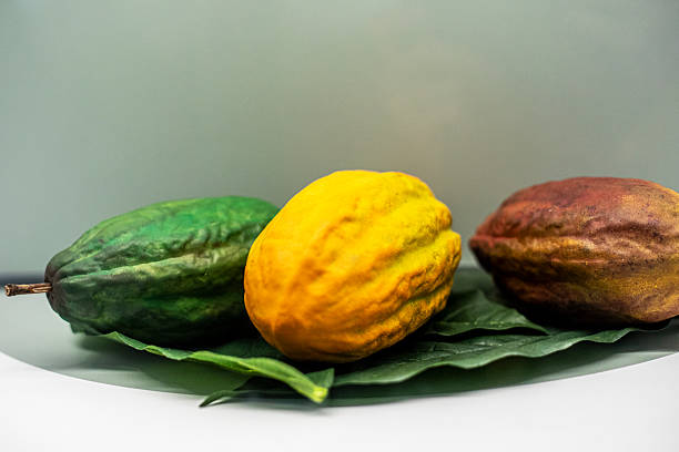Green and spiced cocoa beans on a light background