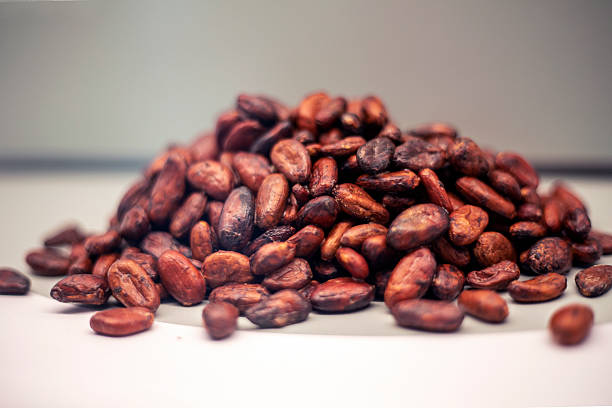 Dried brown cocoa beans on a light background for making chocolate