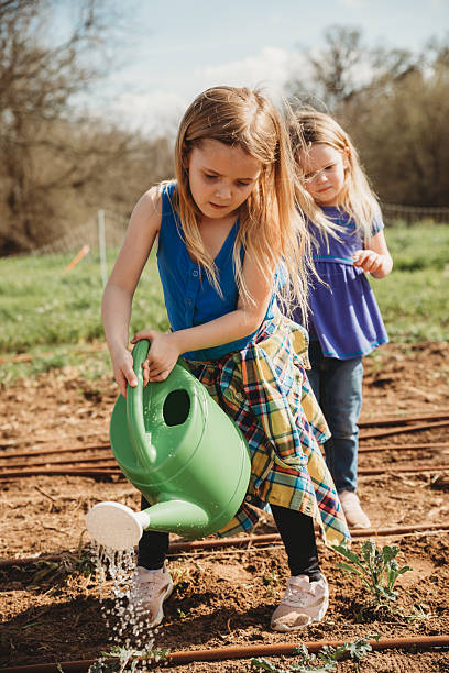 istock Elementary age farm kids work in vegetable garden together while doing chores 2244237727
