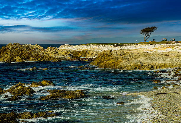 This photo was taken on the 17 Mile Drive in Pacific Grove, California. The golf course hole in the background is the second hole from the Links at Spanish Bay. You have to pay to go on the drive, but the scenery you will see makes it worth it.