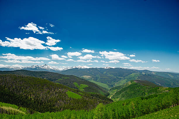 A sweeping panorama of the central Colorado highlands, where rolling aspen-covered ridges rise toward the snowcapped Sawatch Range. The foreground is alive with gradients of green — dense pine forests merging into bright summer meadows. Above, the sky is an uninterrupted expanse of cobalt blue, dotted with drifting clouds. The image captures the vitality of early summer in the Rockies — a moment when the mountains breathe color back into the land.