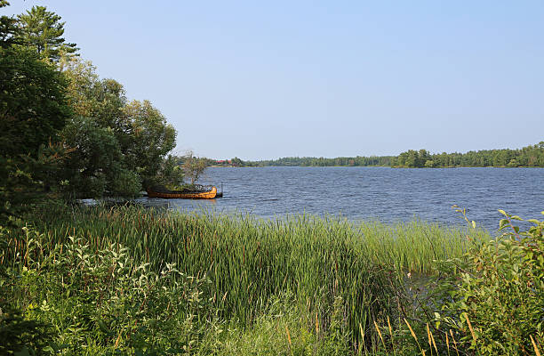 istock Landscape on Kabetogama Lake 2244247029