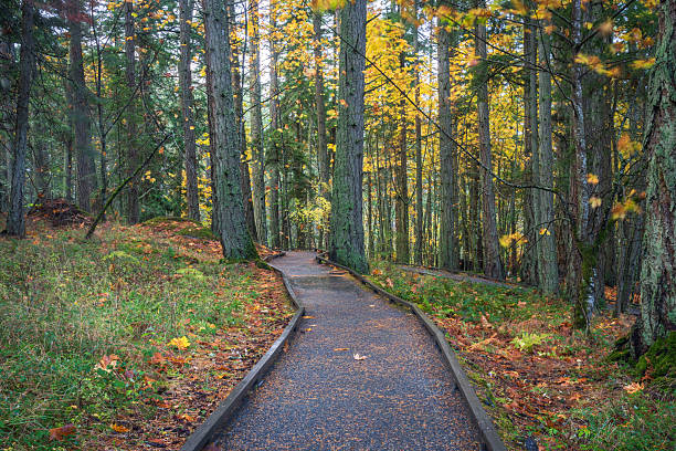 istock Francis King Park in Autumn in Victoria BC 2244253612