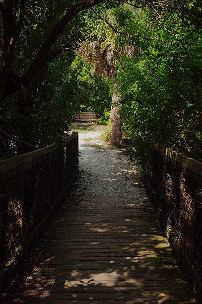 A black and white photograph of a wooden boardwalk path narrowing into the distance, leading toward a bright sky filled with sunlight. The composition creates a powerful visual metaphor for hope, direction, and the journey forward. The wooden planks and diminishing perspective add texture and emotional depth to this timeless, symbolic image.