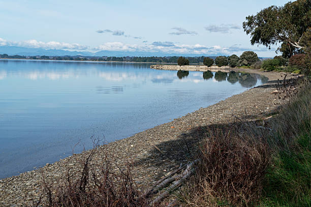 istock The old, historical wharf seen from Motueka waterfront 2244256845