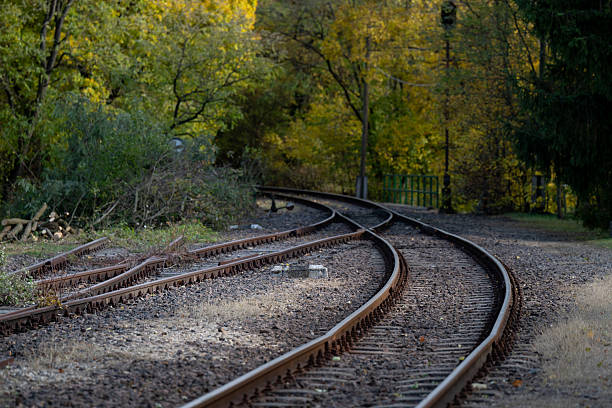 A set of gently curving railway tracks runs through a forested area with trees dressed in autumn foliage. The rails reflect soft natural light, and the ground is covered in gravel and fallen leaves, creating a peaceful and nostalgic atmosphere. The scene suggests travel, transition, and seasonal change.