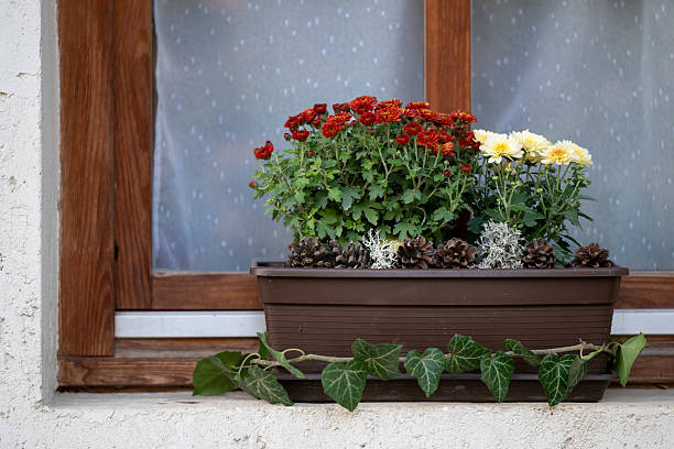 Flower arrangement in the garden