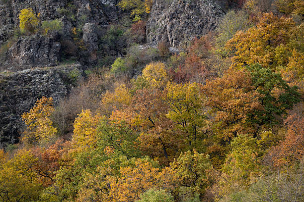 istock Colorful autumn forest on rocky hillside 2244258751