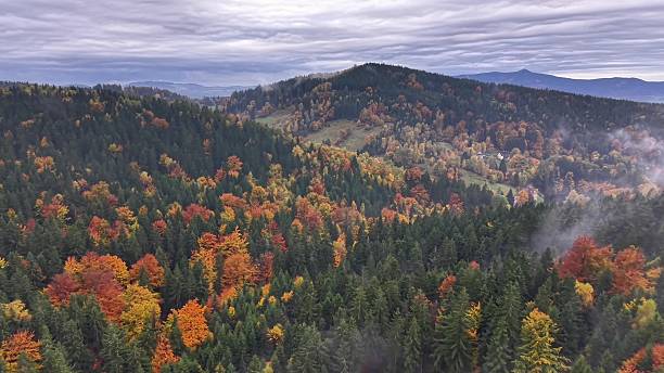 autumn landscape overview, scenic fall mountain view, drone captures colorful mountain valley