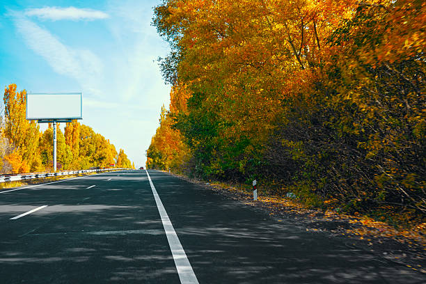 A road with a billboard in the background and trees on the side. The road is empty and the trees are full of leaves