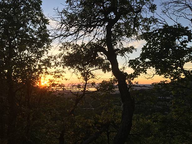 istock Sunset in the Forest with Tree Silhouettes, Mueller Park Trail, Bountiful, Utah 2244261140