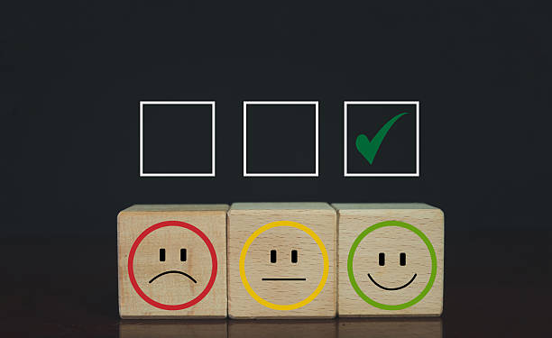 istock Excellent Satisfaction: Checkmark on green happy face for positive customer feedback. 2244265697