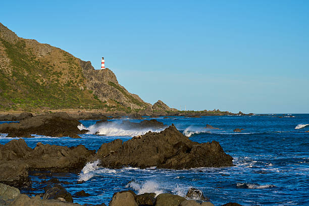 Küste Otago Halbinsel / Otago Peninsula coast /