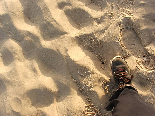 istock Footprints in the Sand/Desert 2244271867