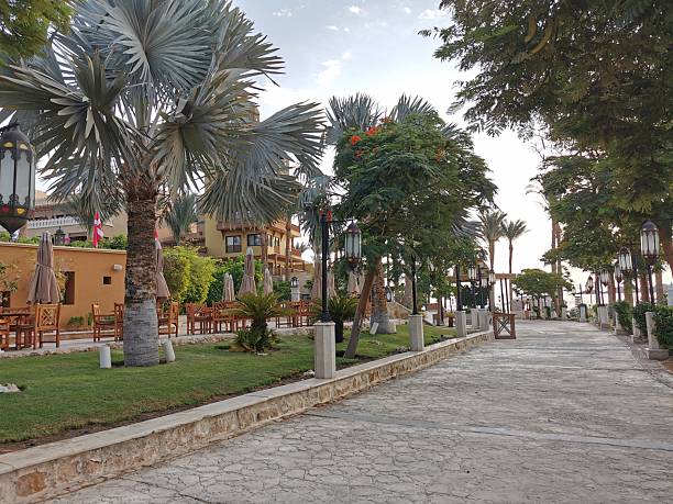Egypt beach Red Sea Makadi Bay in the morning