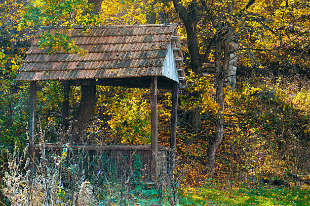 istock A small wooden structure with a roof sits in a forest 2244276478