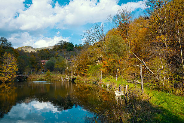 A tranquil scene of a lake surrounded by trees, with a cloudy sky in the background. The water is calm and still, reflecting the trees and sky above. The trees are in various stages of autumn