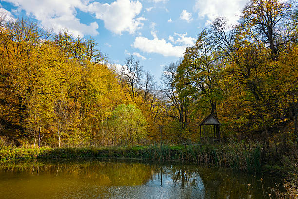 A pond with a small gazebo in the middle. The pond is surrounded by trees and the sky is clear