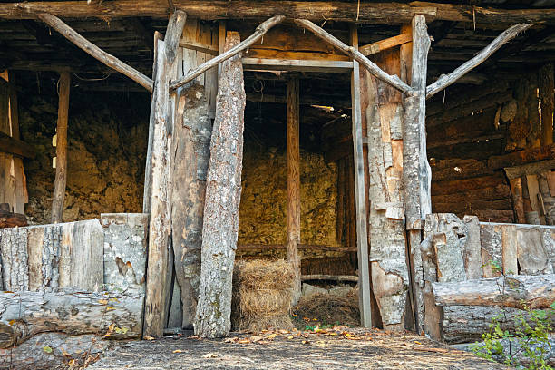 A small, old building with a wooden door. The door is open, and the inside of the building appears to be empty. Scene is somewhat eerie and abandoned, with the old wooden structure