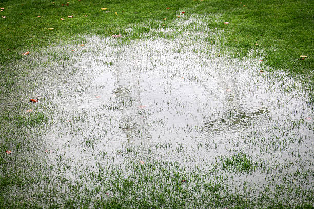 istock Rainwater puddle on green grass lawn after heavy rainfall in park environment 2244277060