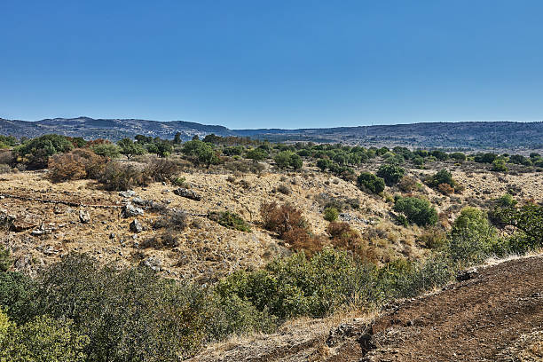 istock Arid valley with sparse vegetation and rocky formations, set beneath distant mountain peaks and open blue sky 2244279019