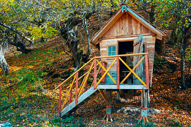 A small wooden cabin with a red and yellow railing. The cabin is surrounded by trees and leaves