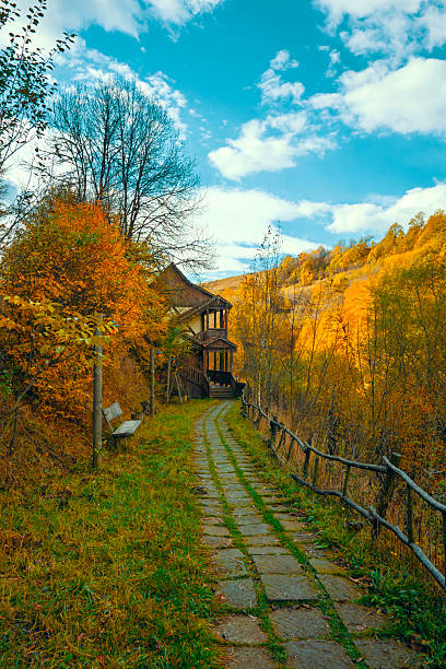 A path in a forest with a house in the distance. The path is lined with trees and the sky is blue