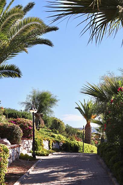 Stone pathway meandering through a resort garden, bordered by lush palm trees and an array of colorful foliage and blossoming flowers