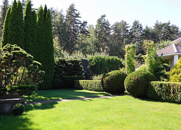 istock Formal summer garden design featuring manicured topiary hedges, green lawn, landscaping elements, and dense foliage 2244291865
