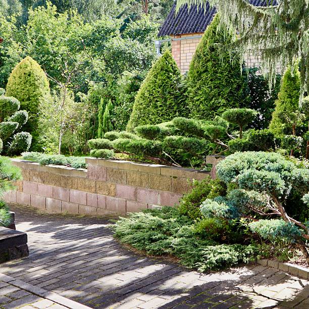 istock Landscaped garden path winding through meticulously trimmed evergreen topiary shrubs and trees, creating a peaceful outdoor space 2244291870
