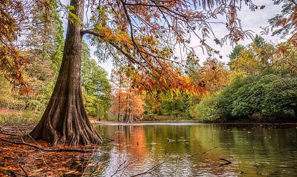 istock Serene Autumn Lake with Vibrant Foliage 2244291900