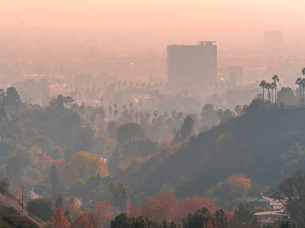just a photo of the city