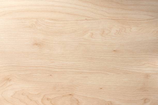 istock Maple wood surface showcasing smooth texture and natural grain patterns, ideal for design projects and artistic backgrounds with copy space 2244294376