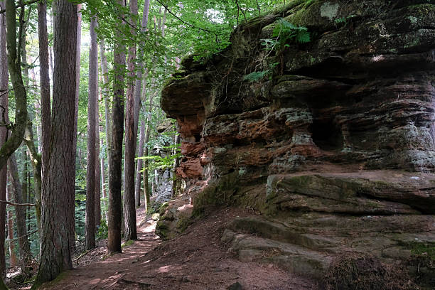 istock Sandstone rock formation in the Palatine Forest 2244296755