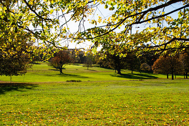 istock A beautiful autumn landscape with trees. 2244297395
