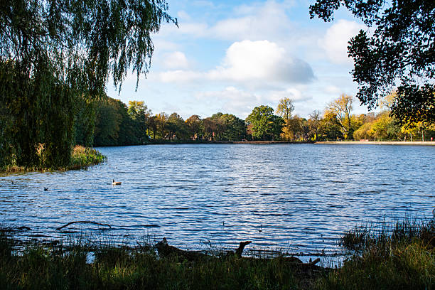 istock A beautiful autumn landscape on a lake with trees. 2244297570