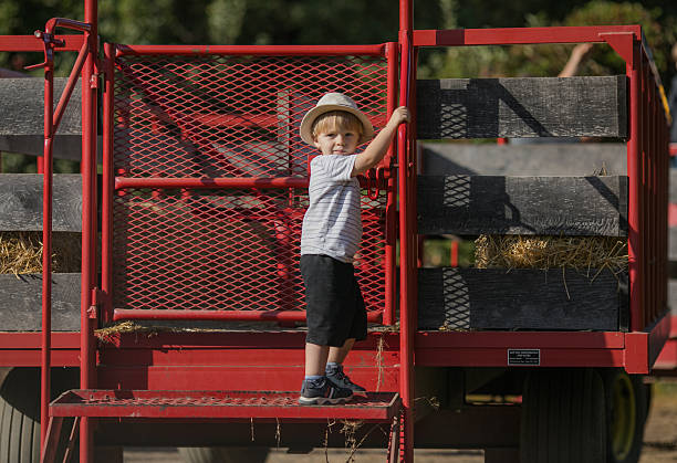istock Two-year-old boy standing on a tractor from behind 2244302648