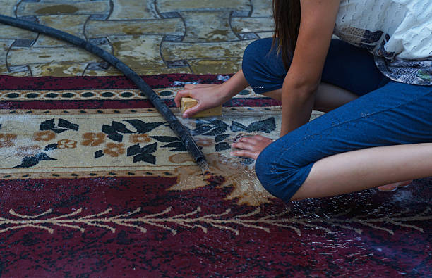 Woman Cleaning Carpet With Brush