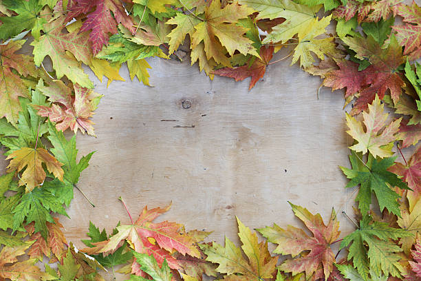 istock Autumn leaf frame on wooden boards 2244307167