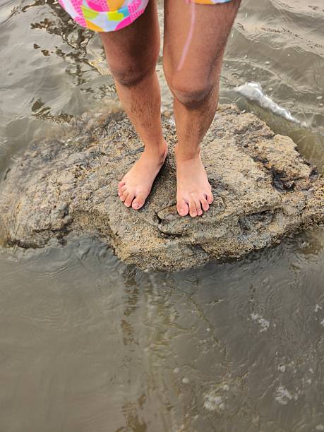 Closeup view of barefoot on wet sandy beach as gentle sea waves flow around feet. Soft sunlight highlights rippled sand texture and calm shoreline mood, capturing peaceful seaside moment of relaxation and connection.