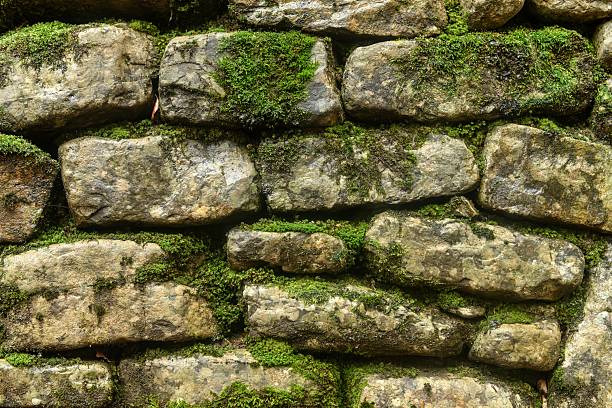 A detailed view of an old stone wall covered in vibrant green moss, highlighting its rustic texture and natural growth.