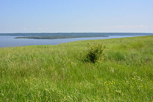 istock Expansive Green Field Overlooking a Serene Lake Under a Clear Blue Sky 2244311036