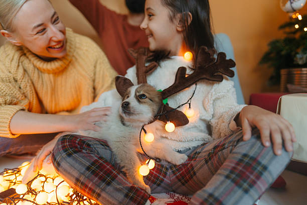 istock Christmas family portrait 2244318707