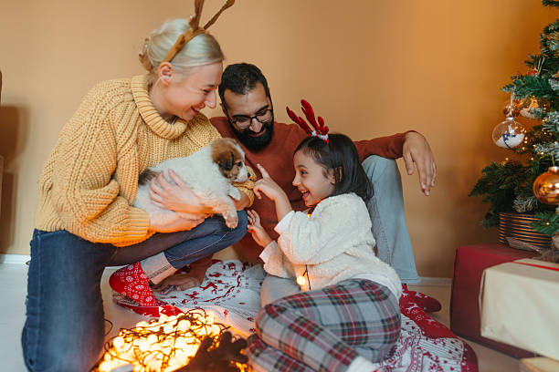 istock Christmas family portrait 2244318760