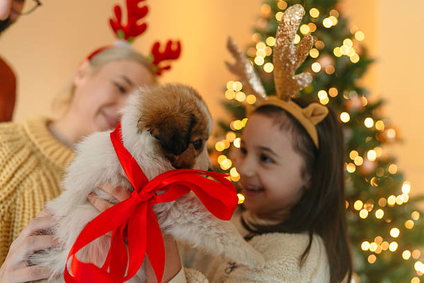 istock Little puppy as a Christmas present 2244319390
