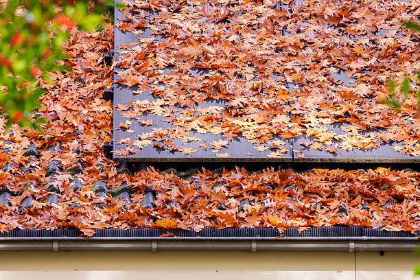 istock Solar panels covered with autumn leaves 2244320002