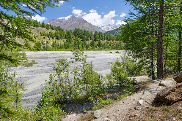 istock The glacial watercourse under Dom peak in Walliser alps. 2244323048